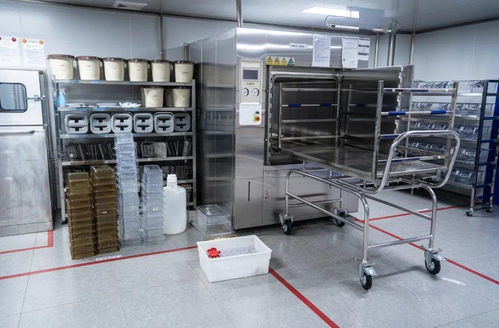 松山湖实验动物中心 前沿医药研发的强力引擎