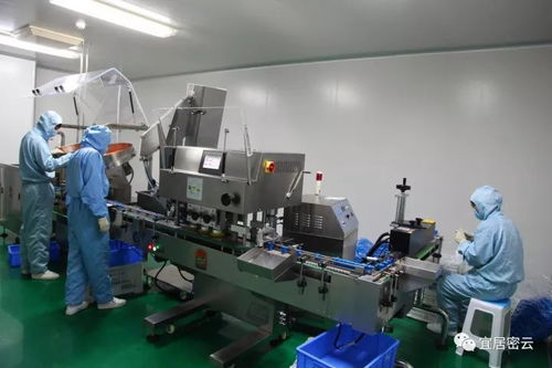 密云生物与医药产业 创新驱动，部分产品科技水平国内领先