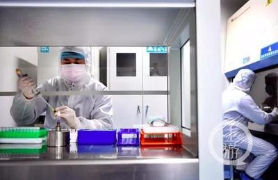 黑科技助攻战“疫” 重庆高新区“智造”军团以生物研发构筑科技防线