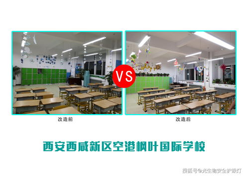 探索未来教育新模式 西安西咸新区空港枫叶国际学校的生物研发样板间