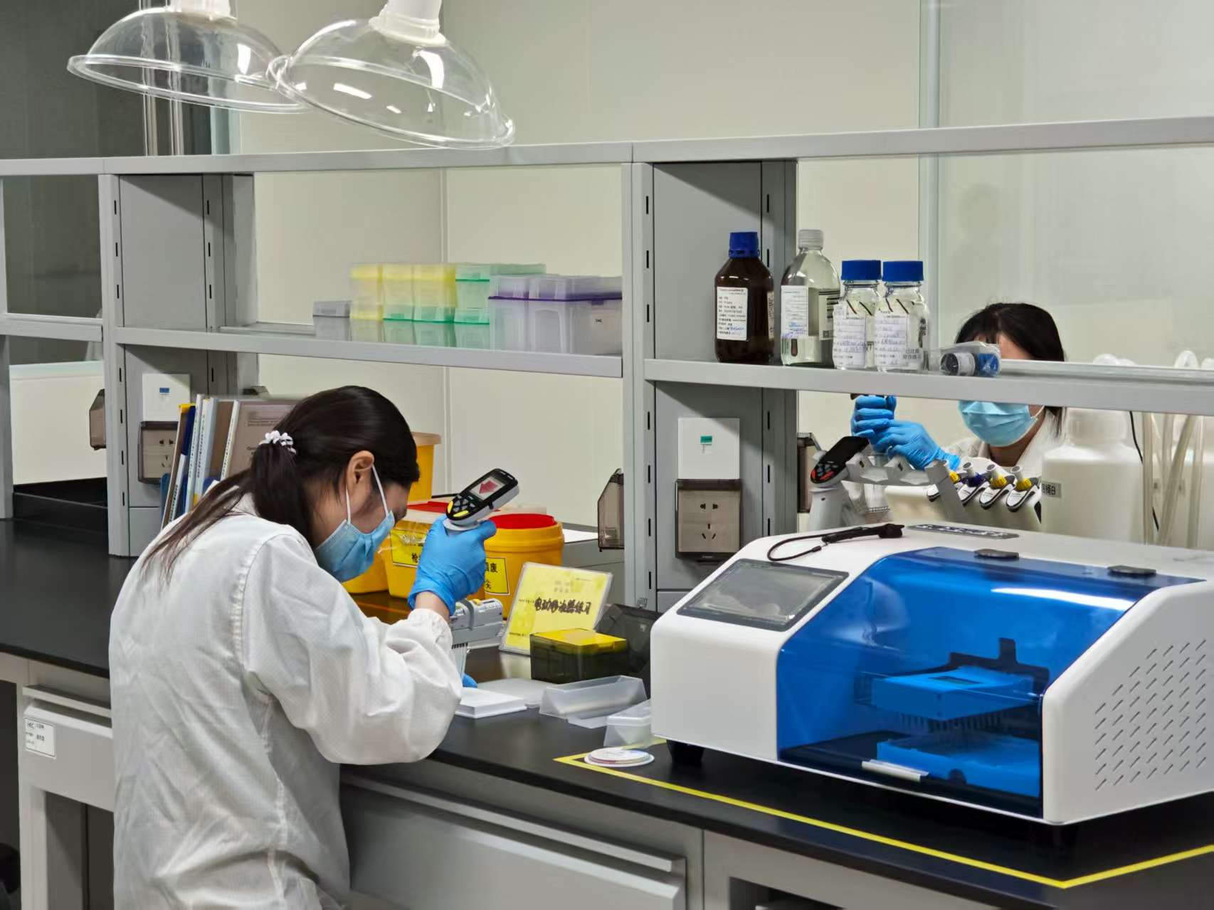 东莞2026年投资图谱 超1600亿重仓工业，基建热潮下的生物研发新引擎